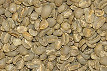 生豆